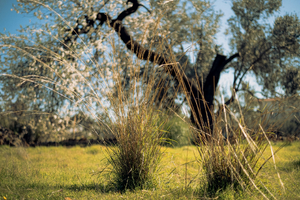 Expert-Comptable Grasse